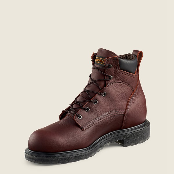 Botas vino online hombre